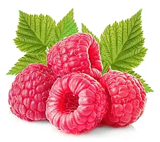 Сорта Малины