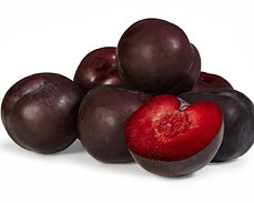 Саженцы Сливы колоновидной