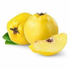 Айва (древовидная)