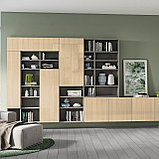 Фасады из Evogloss Р308 Дуб белый глянец, фото 2