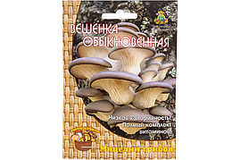 Мицелий грибов Вешенка обыкновенная 12шт Поиск