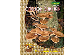 Мицелий грибов Опенок зимний 12шт Поиск