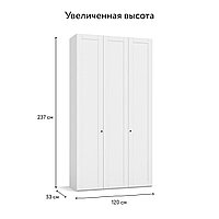 Шкаф Босс Фрейм 120 - 3Д Белый снег, Шарли белый