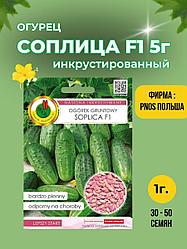 Огурец Соплица F1 (инкрустированные) 5 г  "PNOS", Польша.