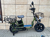 Электровелосипед 16'' Ecoliner MONSTER 60V 21Ah 750W, фото 2