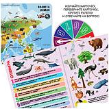 Детская настольная игра Bondibon Увлекательный мир животных и природы ВВ5551, фото 3