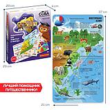 Детская настольная игра Bondibon Увлекательный мир животных и природы ВВ5551, фото 5