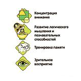 Детская настольная игра Bondibon Увлекательный мир животных и природы ВВ5551, фото 7