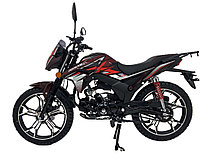 Новая Альфа 125 XL, фото 2
