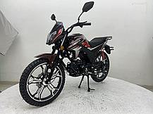 Новая Альфа 125 XL, фото 3