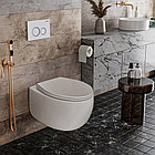 Подвесной унитаз Roxen EGG 530170-01 Rimless Soft Close, фото 3