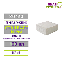 Салфетка 20*20 Стандарт, 40г/м2, 100шт в слож.