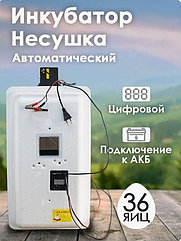 Инкубатор Несушка-36-А+12В №74