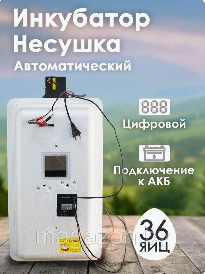 Инкубатор Несушка-36-АГ+12В №74Г