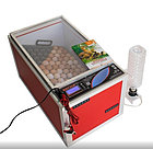 МультиИнкубатор ВЕСНА, фото 3