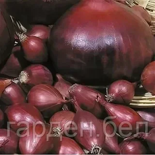 Лук-севок РОМИ 1кг