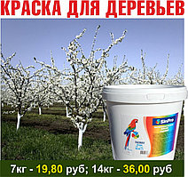 Краска для деревьев 7кг; 14кг (цена с НДС)