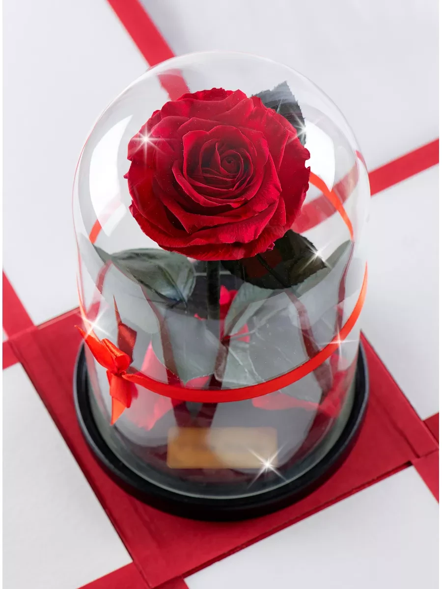 Роза в колбе 28 см, Romantic Red Premium