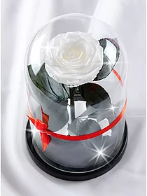 Роза в колбе 28 см, White Pearl Premium