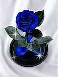 Роза в колбе 28 см, Royal Blue Premium, фото 2