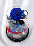 Роза в колбе 28 см, Royal Blue Premium, фото 3