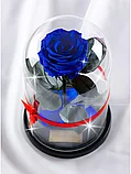 Роза в колбе 28 см, Royal Blue Premium, фото 5