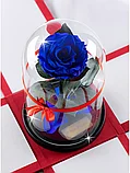 Роза в колбе 28 см, Royal Blue Premium, фото 4