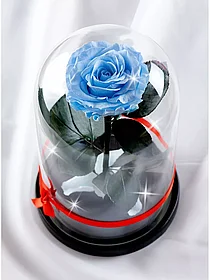 Роза в колбе 28 см, Baby Blue Premium