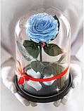 Роза в колбе 28 см, Baby Blue Premium, фото 4