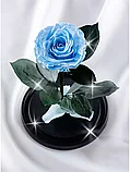 Роза в колбе 28 см, Baby Blue Premium, фото 2