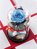 Роза в колбе 28 см, Baby Blue Premium, фото 3
