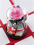 Нежно-розовая Роза в колбе 28 см, Pretty Pink, фото 3