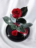 Красная роза в колбе 22 см, Romantic Red Mini, фото 3