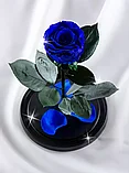 Синяя вечная роза 22 см, Royal Blue Mini, фото 2