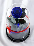 Синяя вечная роза 22 см, Royal Blue Mini, фото 3