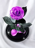 Сиреневая вечная роза 22 см, Lilac Mini, фото 2