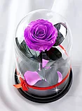 Сиреневая вечная роза 22 см, Lilac Mini, фото 3