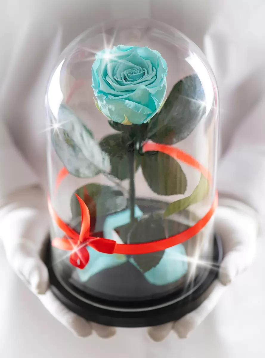 Ментоловая роза в колбе 22 см, Mint Mini