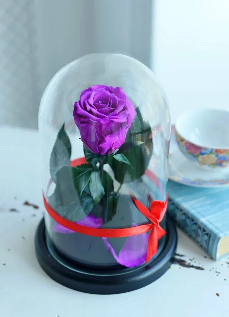 Фиолетовая вечная роза 22 см, Dark Violett Mini