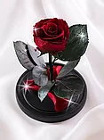 Роза в колбе 28 см, Maroon Elegant, фото 2
