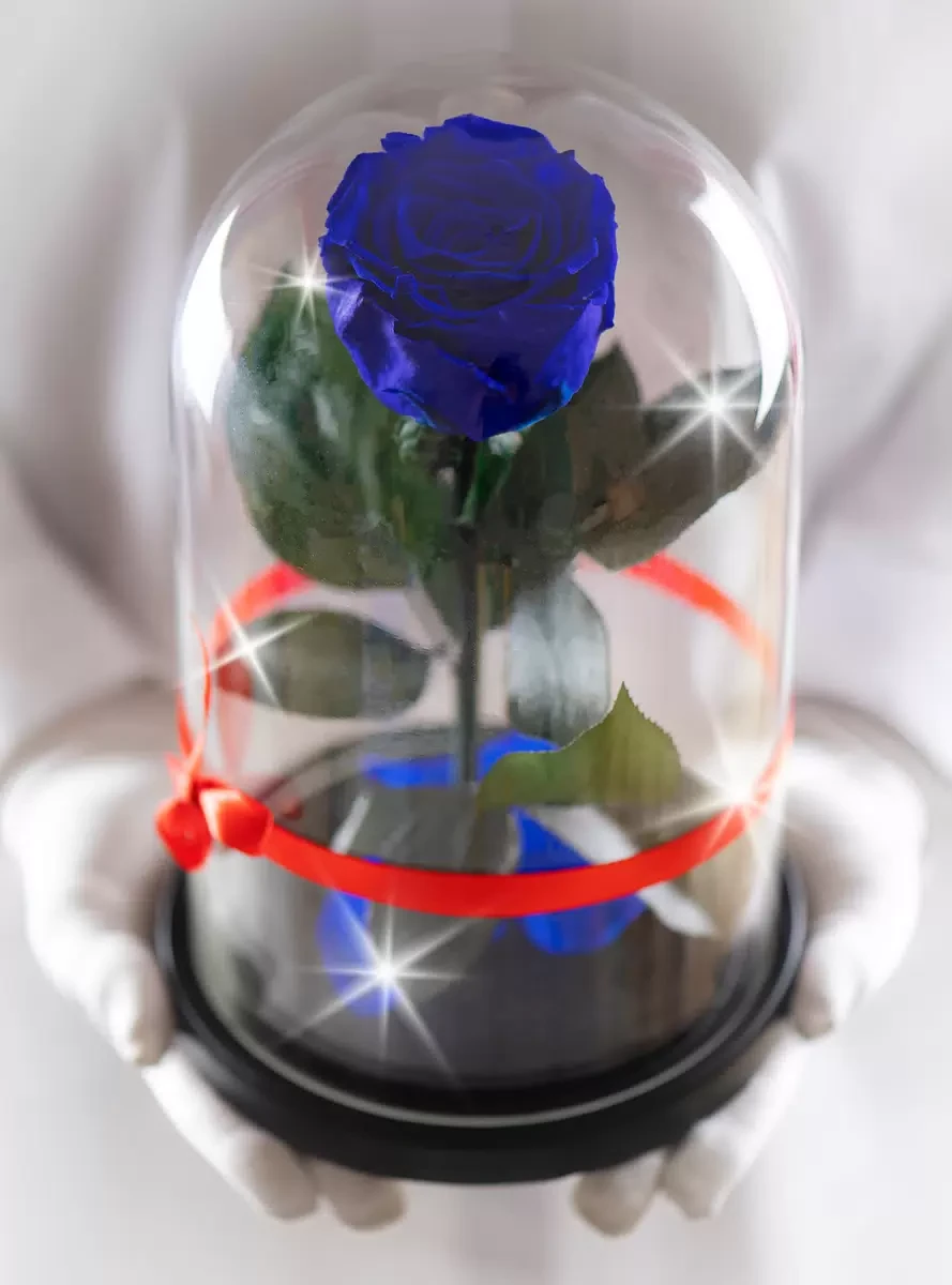 Роза в колбе 28 см, Royal Blue Elegant