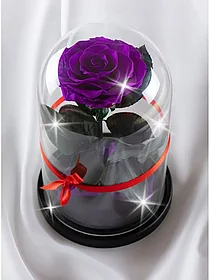 Фиолетовая роза в колбе 28 см, Dark Violett King