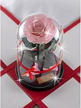 Розовая роза в колбе 28 см, Pretty Pink King, фото 3