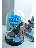 Гоубая роза в колбе 28 см, Baby Blue King, фото 2