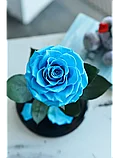 Гоубая роза в колбе 28 см, Baby Blue King, фото 3