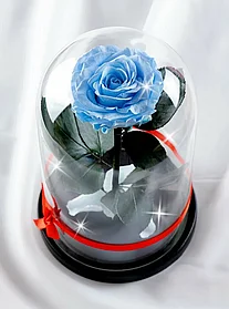 Гоубая роза в колбе 28 см, Baby Blue King