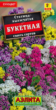 Статица Букетная, смесь сортов 0.1г Ц/П Аэлита, фото 2