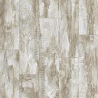 Линолеум  Gladiator Miele 2  Tarkett