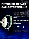 Игрушка для кошек и собак интерактивный ошейник, фото 3