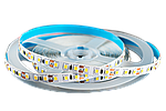 LED лента TruEnergy Standart 12V-2835-120D, 9,6W/m, 4000K, IP20 (Белый) - 1 метр